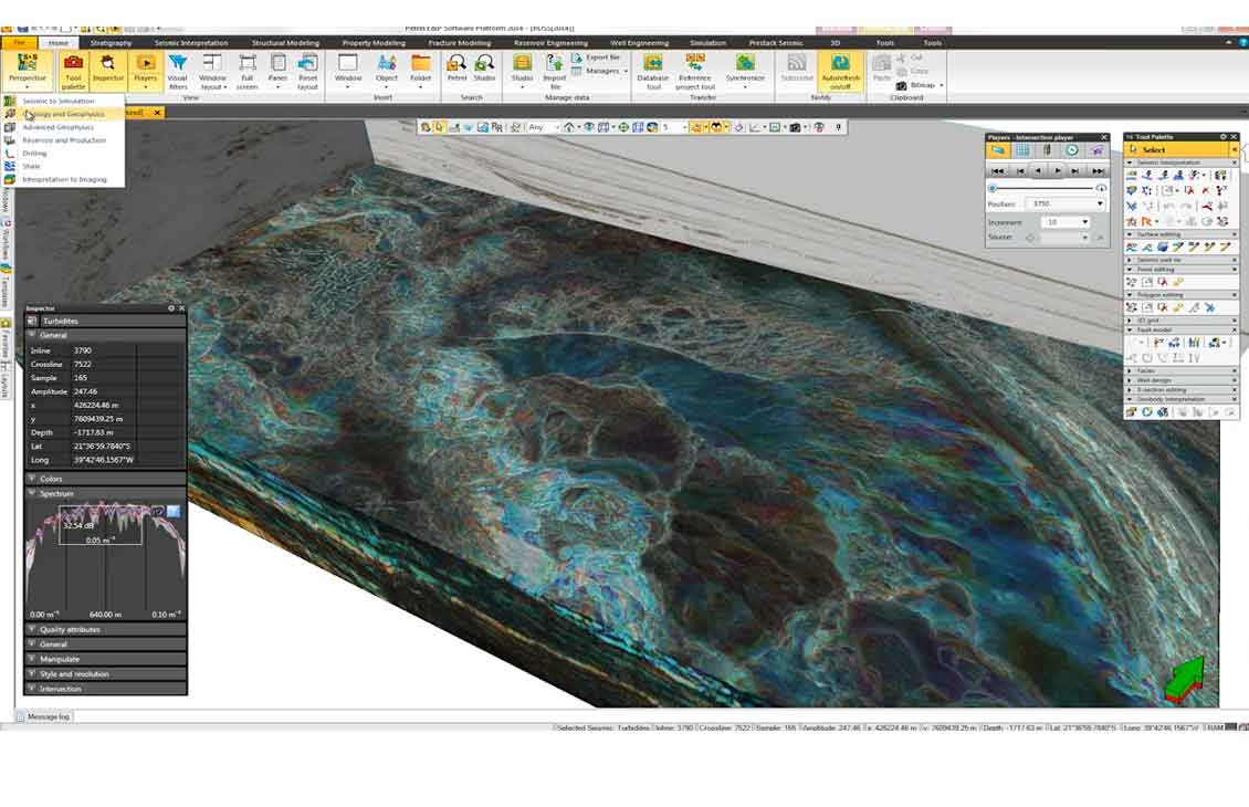 Screenshot of the Petrel 2014 software